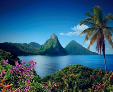 St. Lucia & Beyond